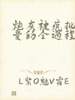 炮灰被疯批强制爱的全过程np【快/穿】