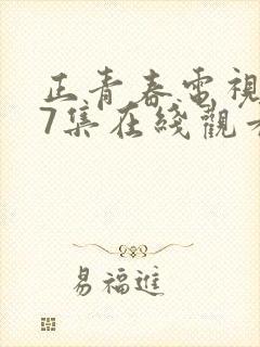 正青春电视剧47集在线观看免费