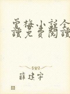 曾梅小说全文阅读免费阅读最新章节