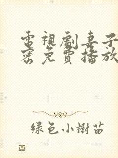 电视剧妻子的秘密免费播放封面