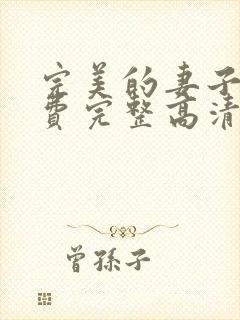 完美的妻子5免费完整高清韩剧在线观看封面