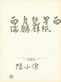 白月梵星白鹿敖瑞鹏壁纸