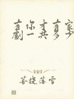 有你才有家电视剧一共多少集