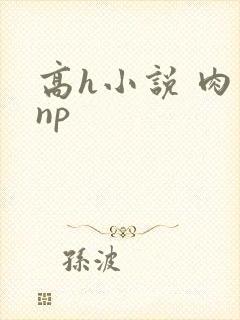 高h小说 肉 np