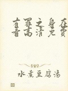 有罪之身在线观看高清免费