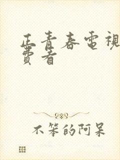 正青春电视剧免费看