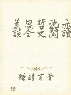 叶思哲沈亦宸小说全文阅读封面