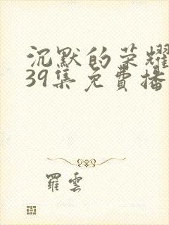 沉默的荣耀1—39集免费播放