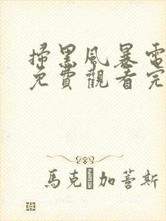 扫黑风暴电视剧免费观看完整版高清