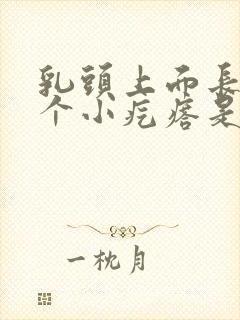 乳头上面长了一个小疙瘩是怎么回事