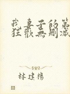 我妻子的第一次狂欢无删减版封面