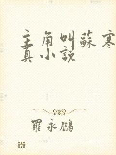 主角叫苏寒的修真小说封面