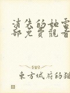 消失的她电影全部免费观看高清封面