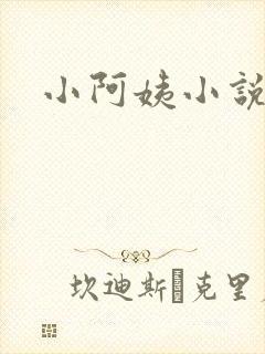 小阿姨小说