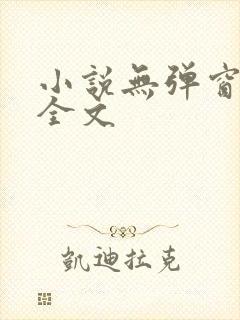 小说无弹窗广告全文