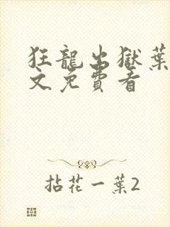 狂龙出狱叶风全文免费看