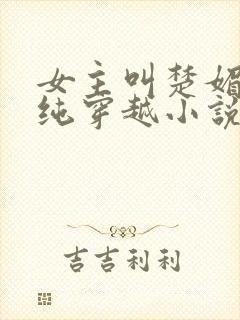 女主叫楚媚的清纯穿越小说