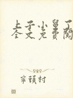 上子小舅了老婆全文免费阅读