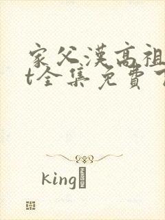 家父汉高祖txt全集免费下载