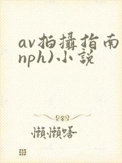 av拍摄指南(nph)小说
