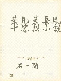 叶凡叶长风一门十忠烈小说书名