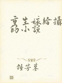 重生嫁给摄政王的小说