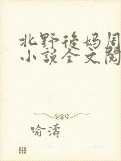 北野后妈周继烨小说全文阅读