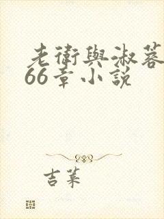 老卫与淑蓉全集66章小说封面
