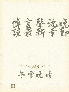 傅言声沈晚柔小说最新章节免费阅读