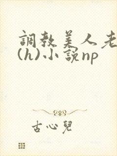调教美人老师高(h)小说np