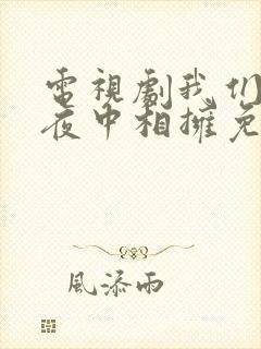 电视剧我们在黑夜中相拥免费观看封面