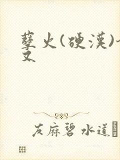 孽火(硬汉)今又