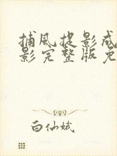 捕风捉影成龙电影完整版免费观看高清