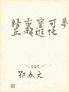 精灵宝可梦皮卡丘超进化封面