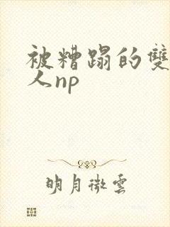 被糟蹋的双性美人np封面