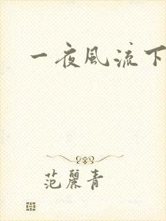 一夜风流下载