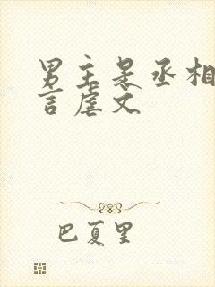 男主是丞相的古言虐文