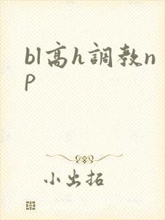 bl高h调教np封面