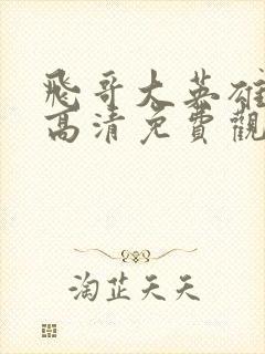 飞哥大英雄在线高清免费观看