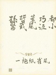 孙哲叶巧都市之医武风流小说封面