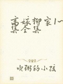 高嫁柳家1~6集全集