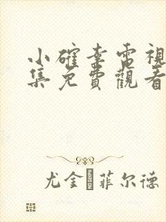 小确幸电视剧全集免费观看高清封面