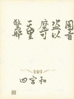 惊天魔盗团2在哪里可以看