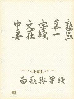 中文字幕熟女人妻在线一区二区