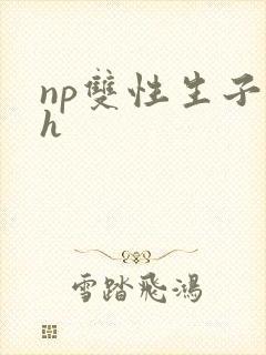 np双性生子高h