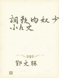 调教肉奴少司缘小h文