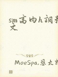 sm高肉h调教文封面