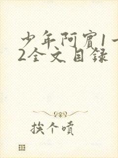 少年阿宾1一72全文目录