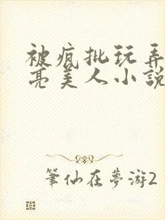 被疯批玩弄的漂亮美人小说