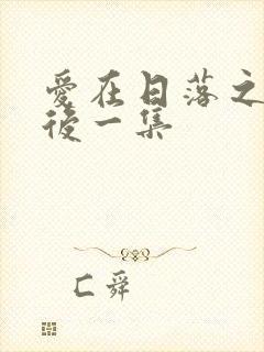 爱在日落之前最后一集